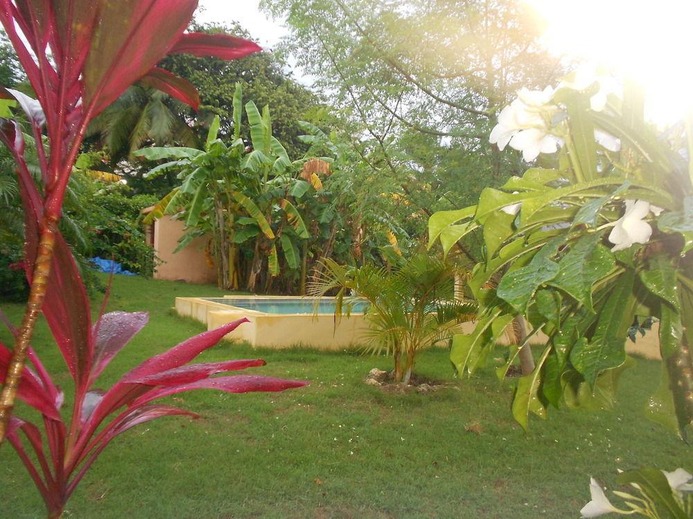 Gipsy Ranch Rooms Cabarete Zewnętrze zdjęcie